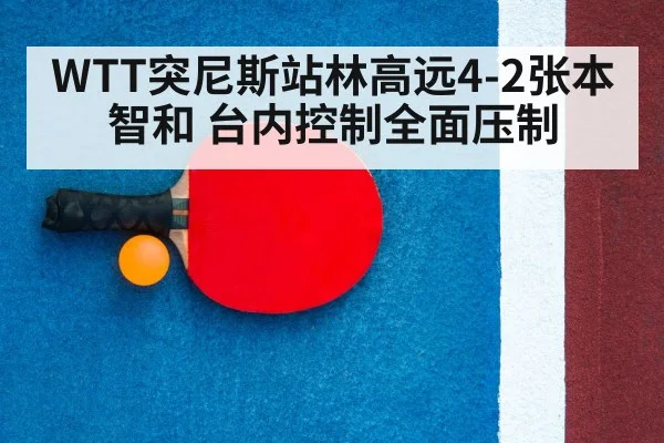 ping pong racket
